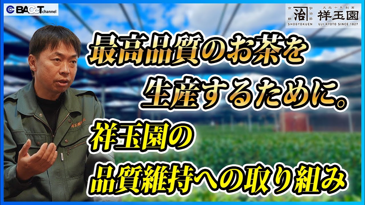 【お茶にも菌検査は必要？】祥玉園製茶の品質管理体制について聞いてみました【祥玉園製茶】