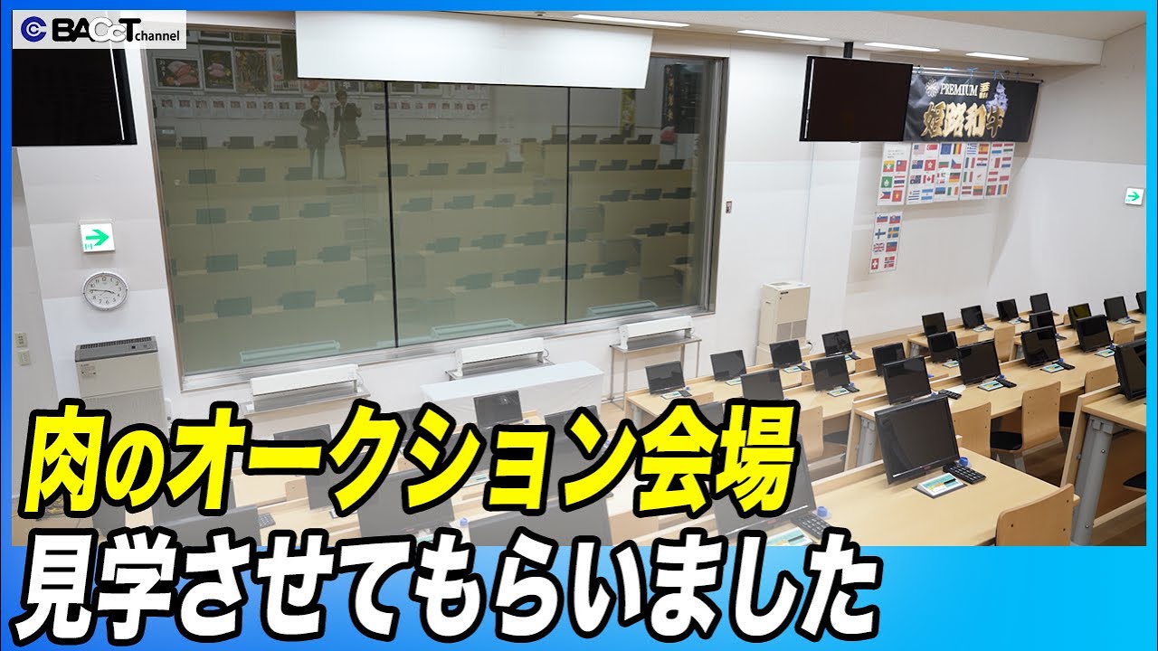 【目の前を枝肉が自動で通過！？】最先端の肉のオークション会場を見学しました【和牛マスター】
