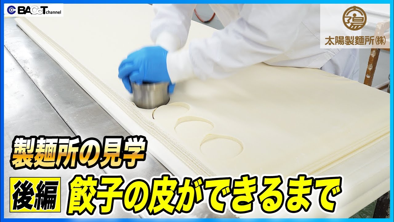 【餃子の皮工場｜後編】太陽製麺所の職人技と品質管理｜規格・計量・衛生管理の現場