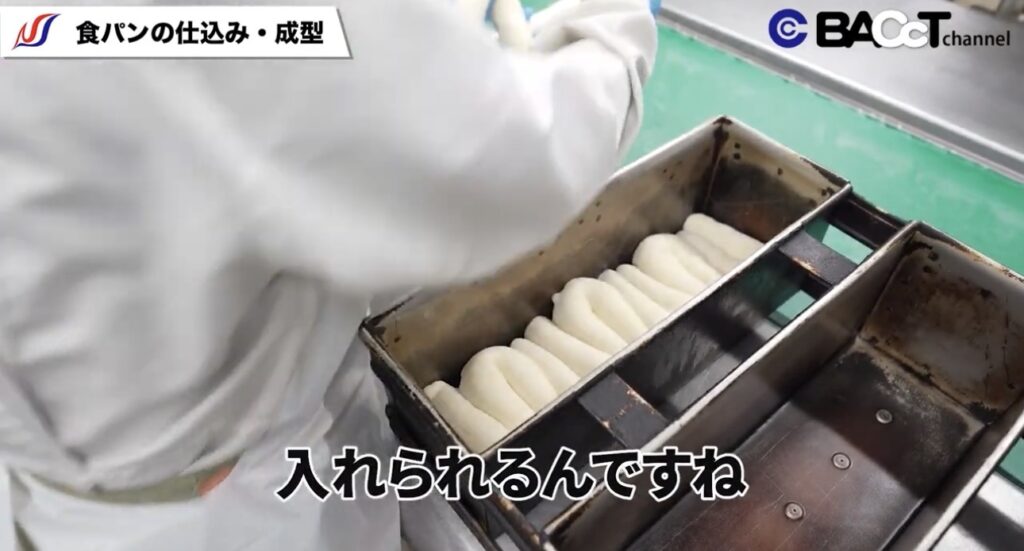 おかんパン工場の食パンの仕込み・成型